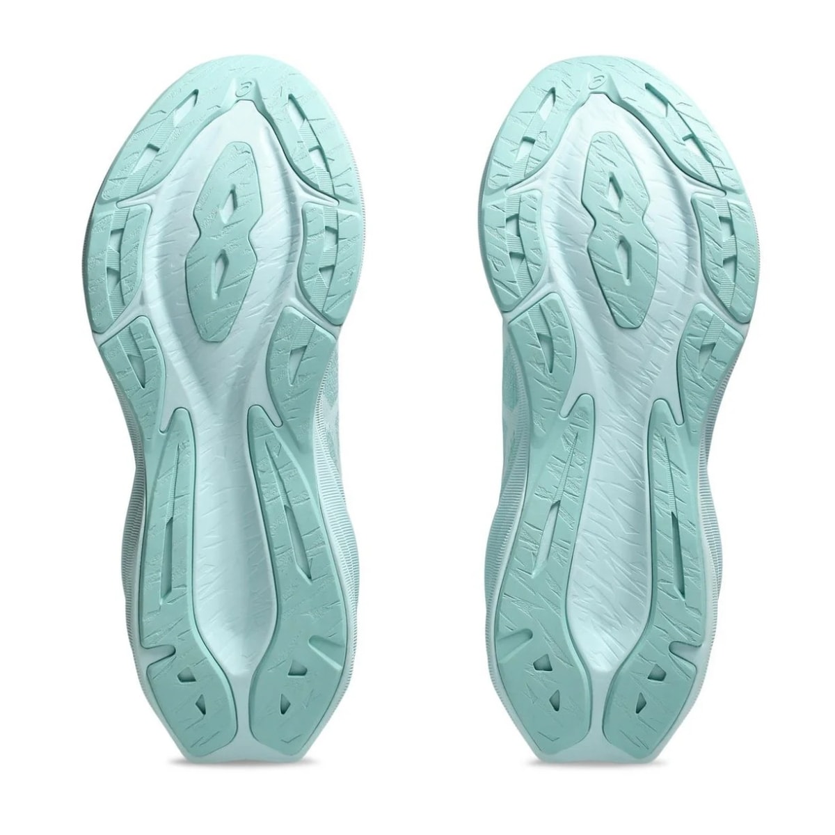 image_83529302-b914-48fd-a317-44da40f00186