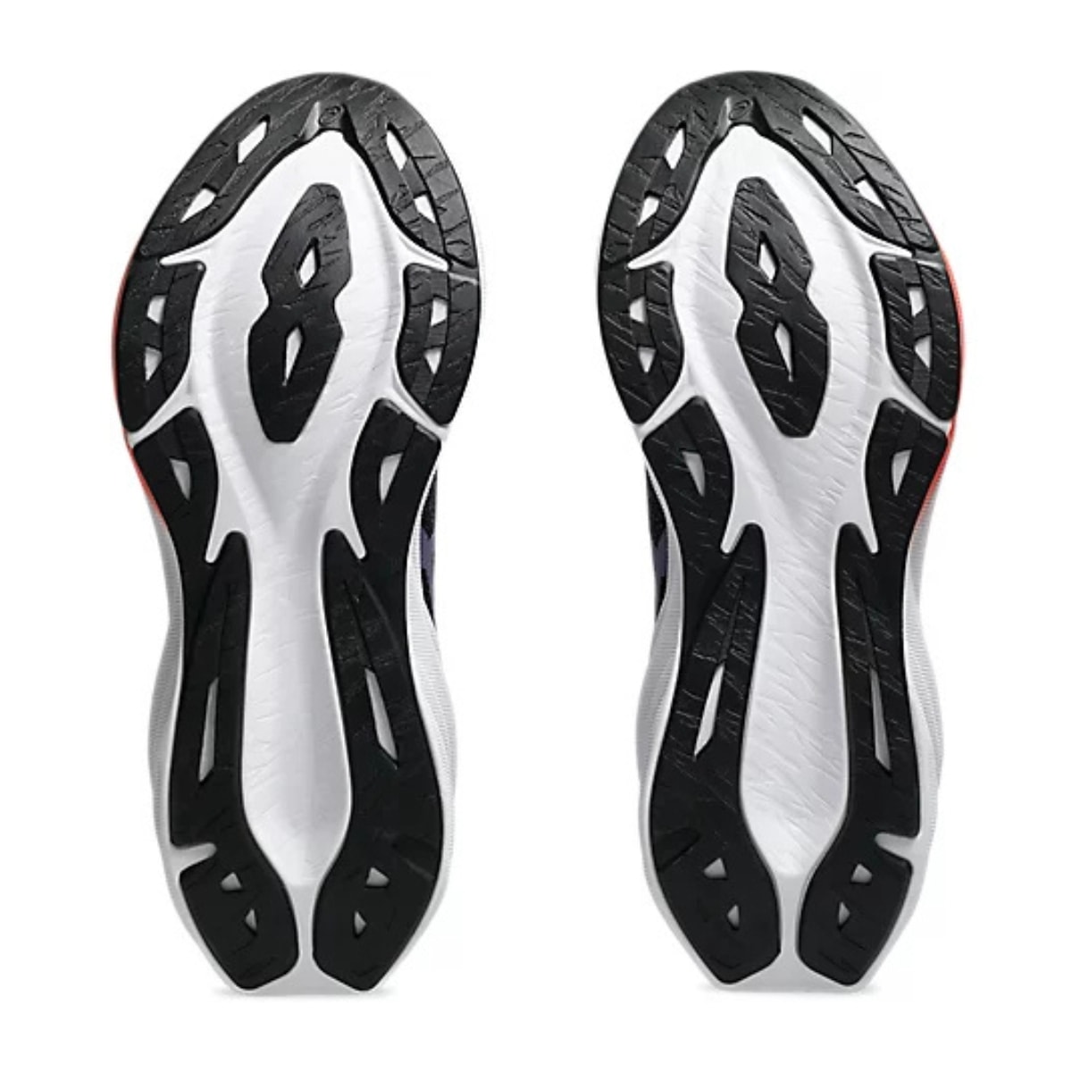 image_b1258261-f70a-4e7a-be4f-a7298086a8dd