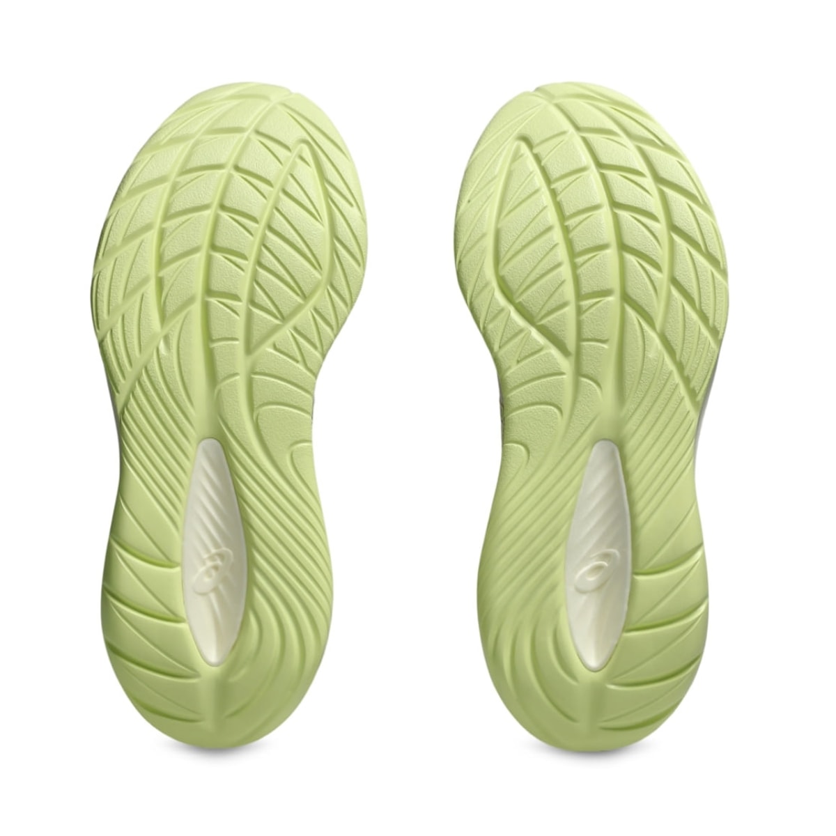 image_17715595-f7e7-45df-b386-fbc2c5b398de