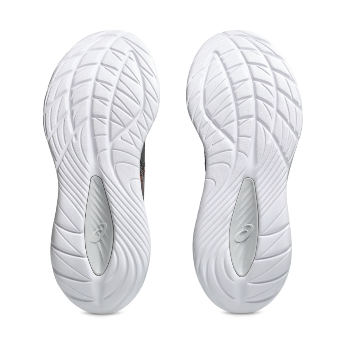 image_875b667c-9dc1-48c0-82b5-95f92ececcc0