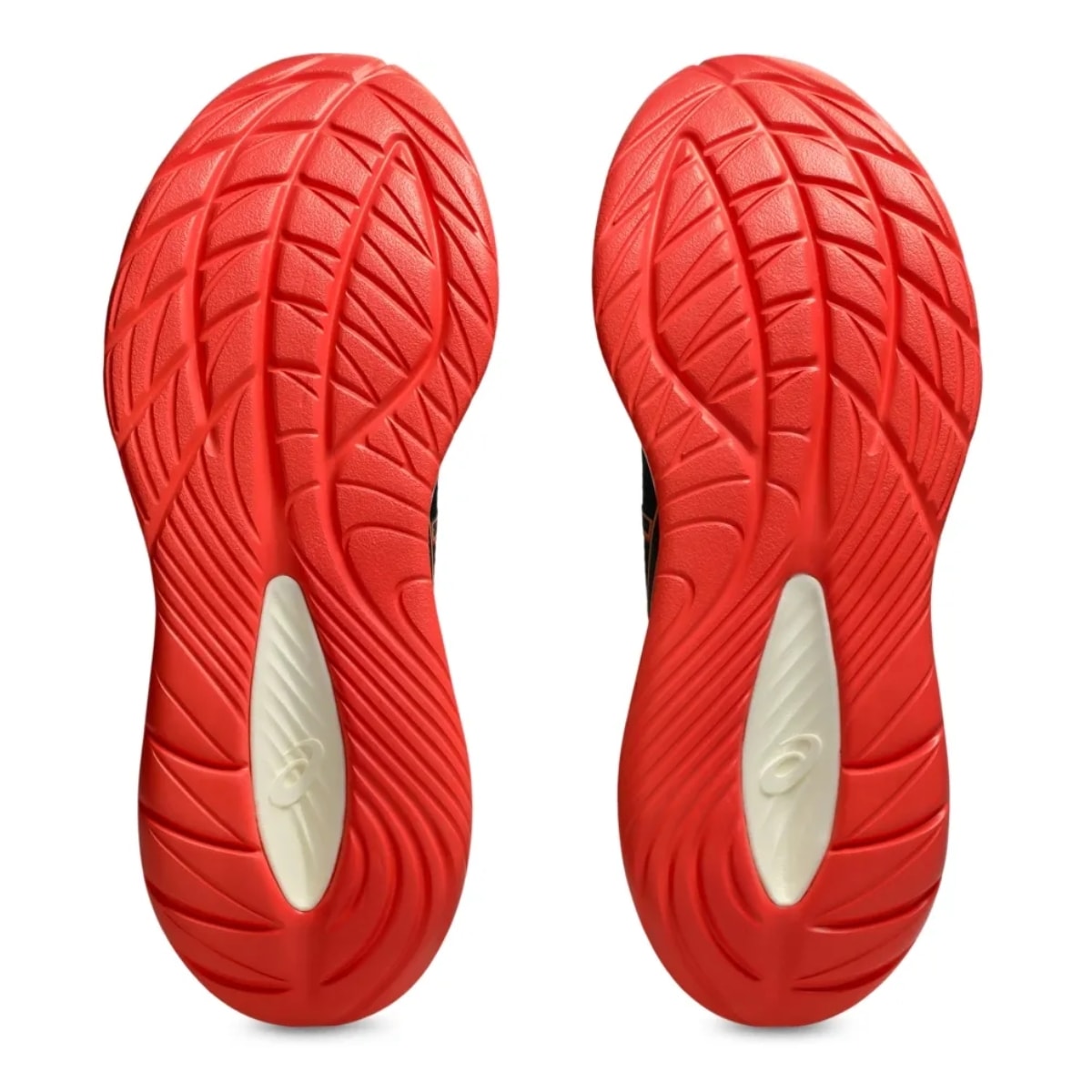 image_07071325-1f81-4909-bbf5-405007a06794