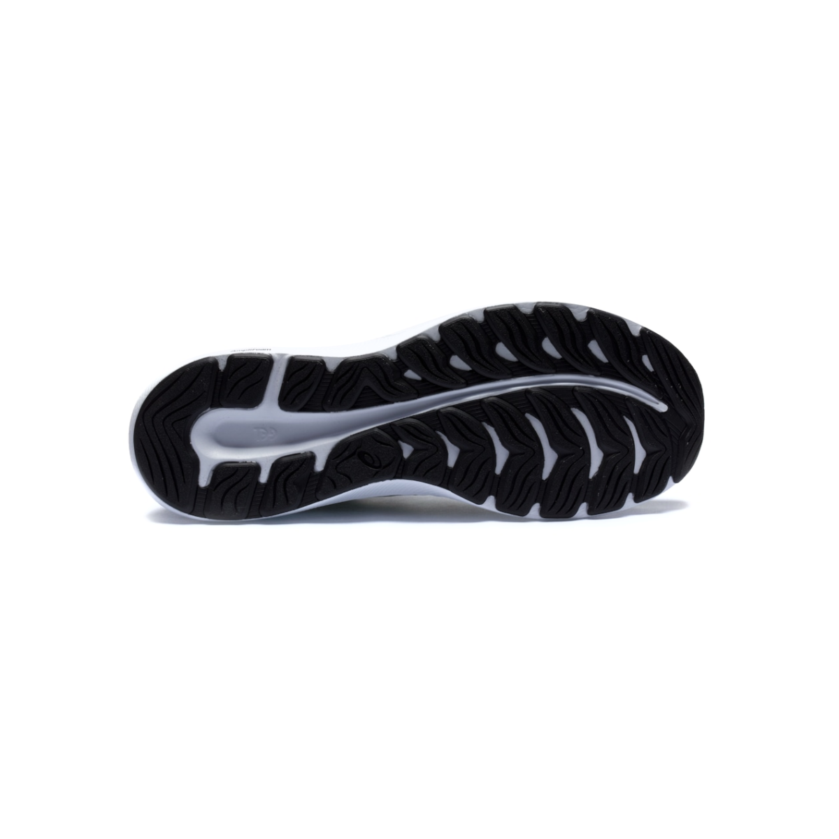 image_f8faf503-c7ce-4297-8ab5-bf02bb586671