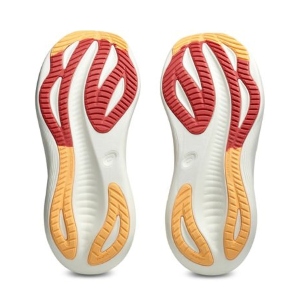 image_af34ec3b-2778-4e24-959b-c7a049942afc