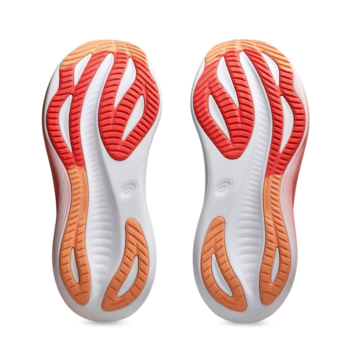 image_28e4e124-2fc1-44f8-80c4-28fd033cc0e5