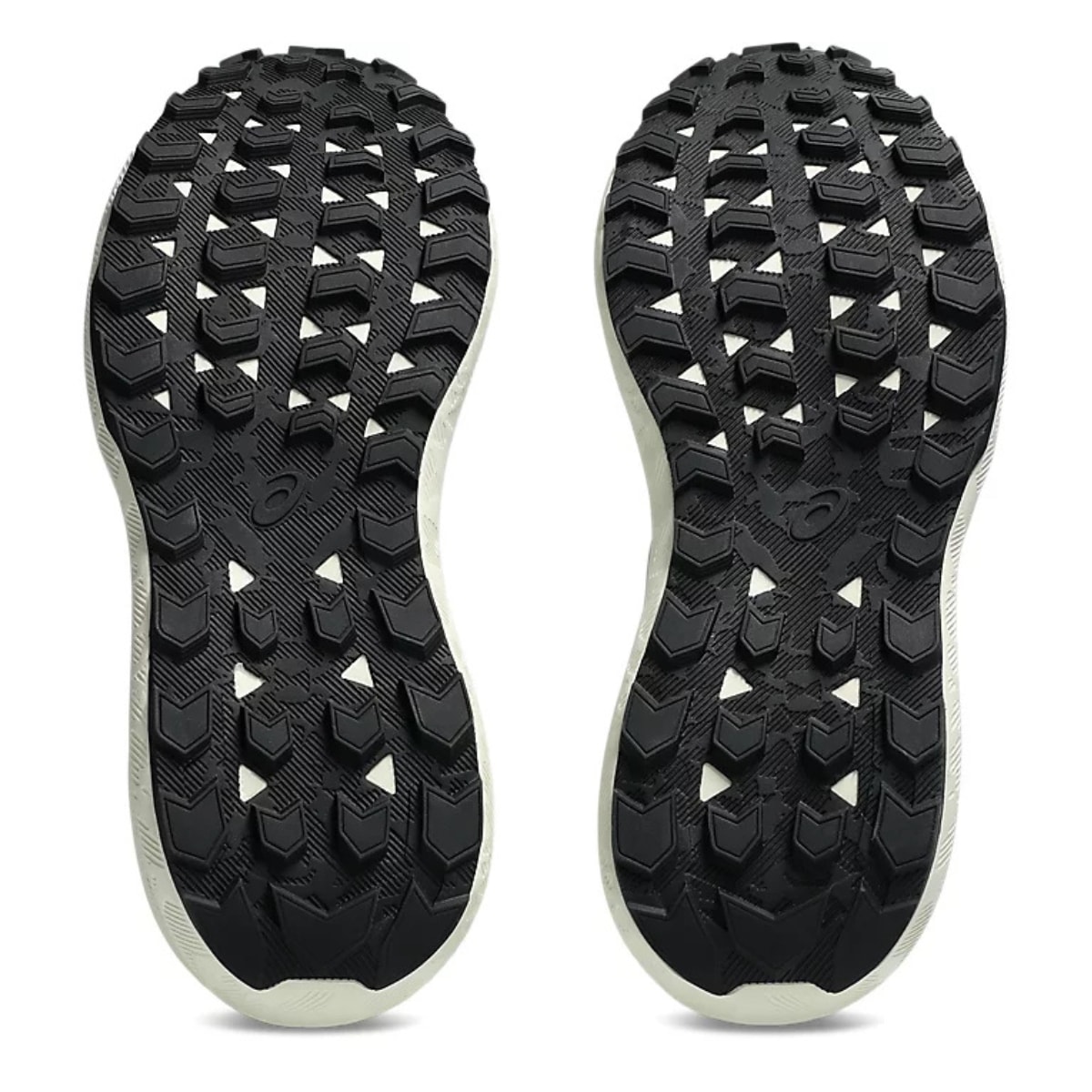 image_0d4b0a2c-5954-4fe5-9635-1787401351b5