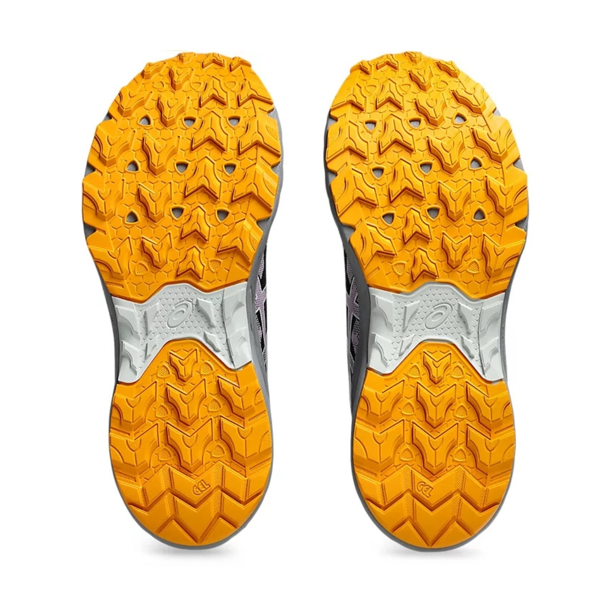 image_5a731b94-318d-4f35-a56c-04c07662d7bd