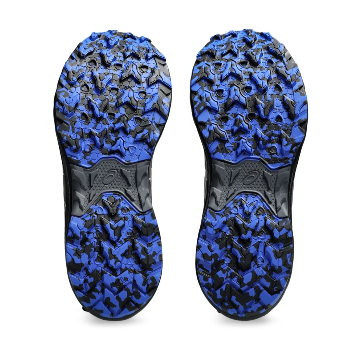 image_786214fb-d329-4b01-a3d0-1012f3accc42