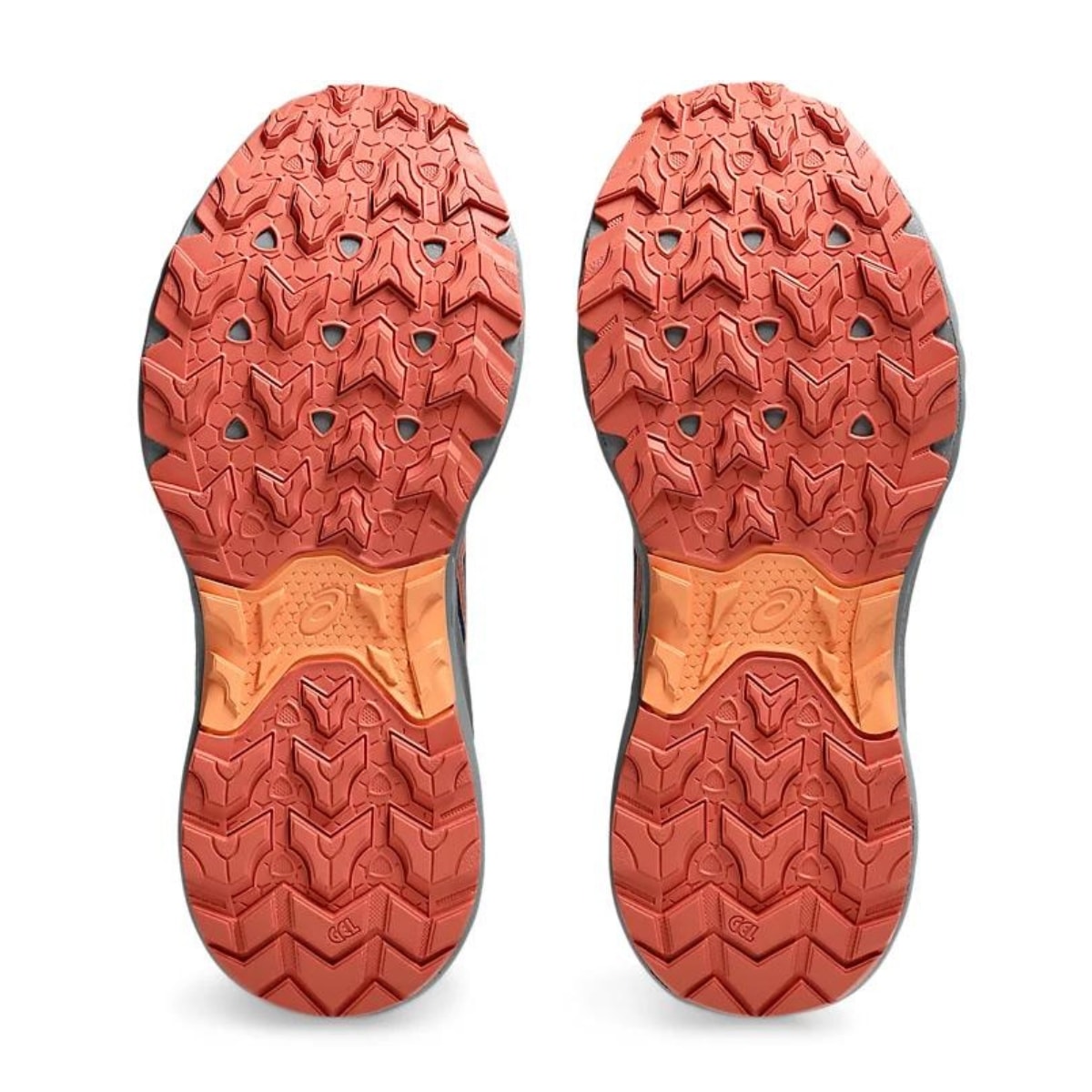 image_ecd3e44e-823d-4c0a-9993-453e3587c8a7