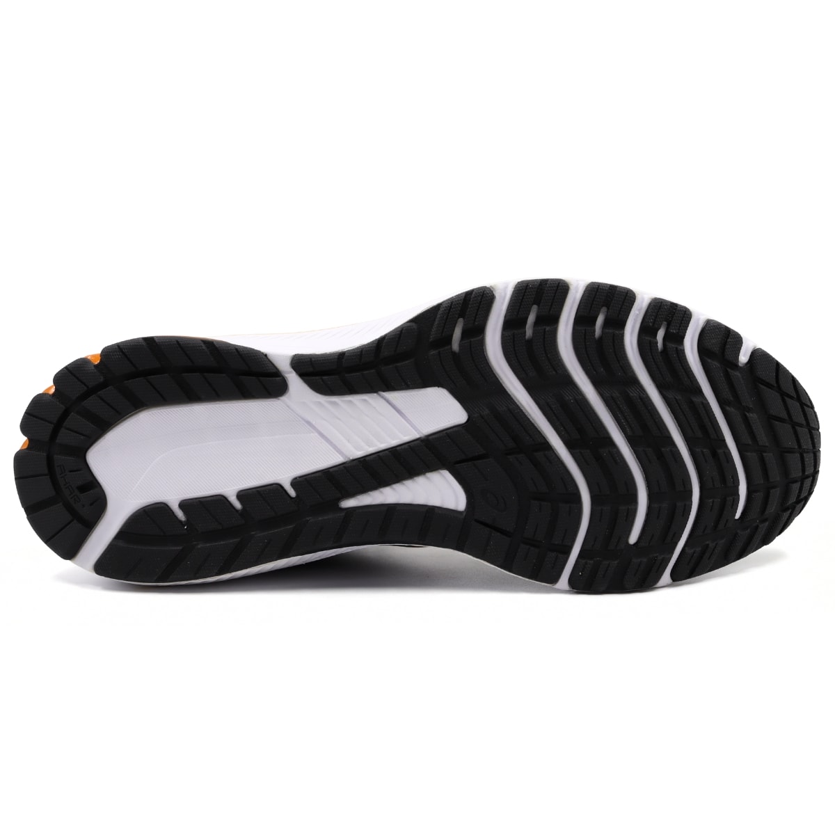 image_9e094597-3b4b-4316-b094-71bab710be88