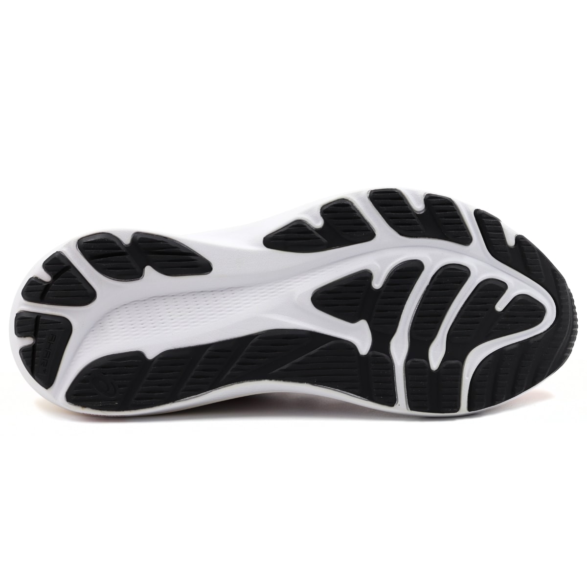 image_28ffa4f4-f68f-4881-97d8-7ef0365863aa