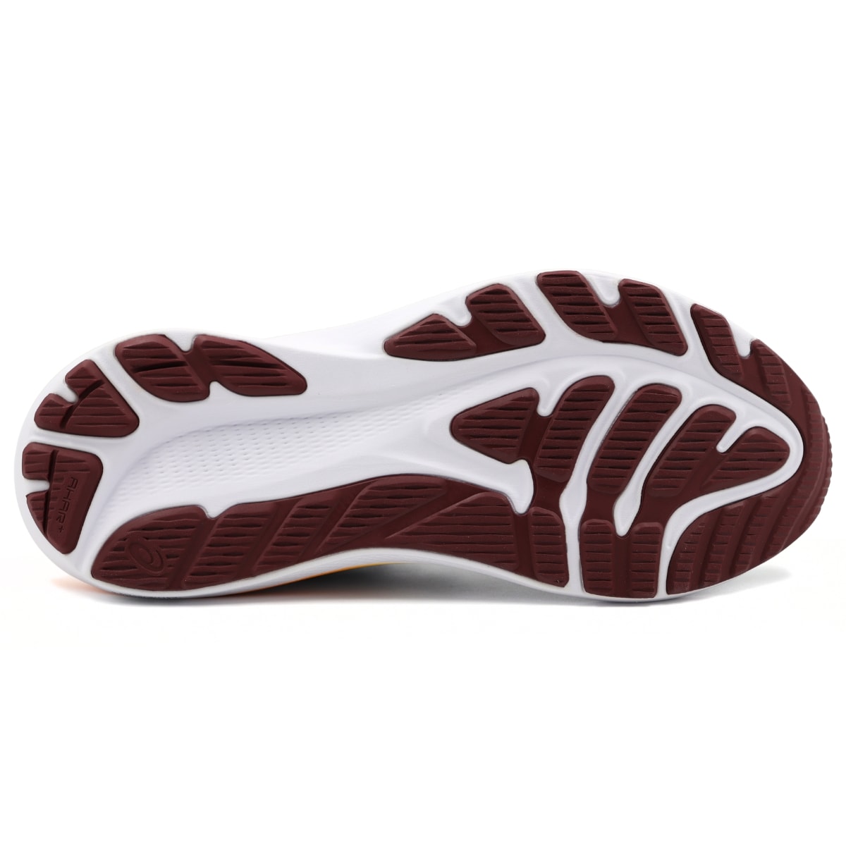 image_4a5e8a09-3027-4d69-8010-1cd3dcb1be73