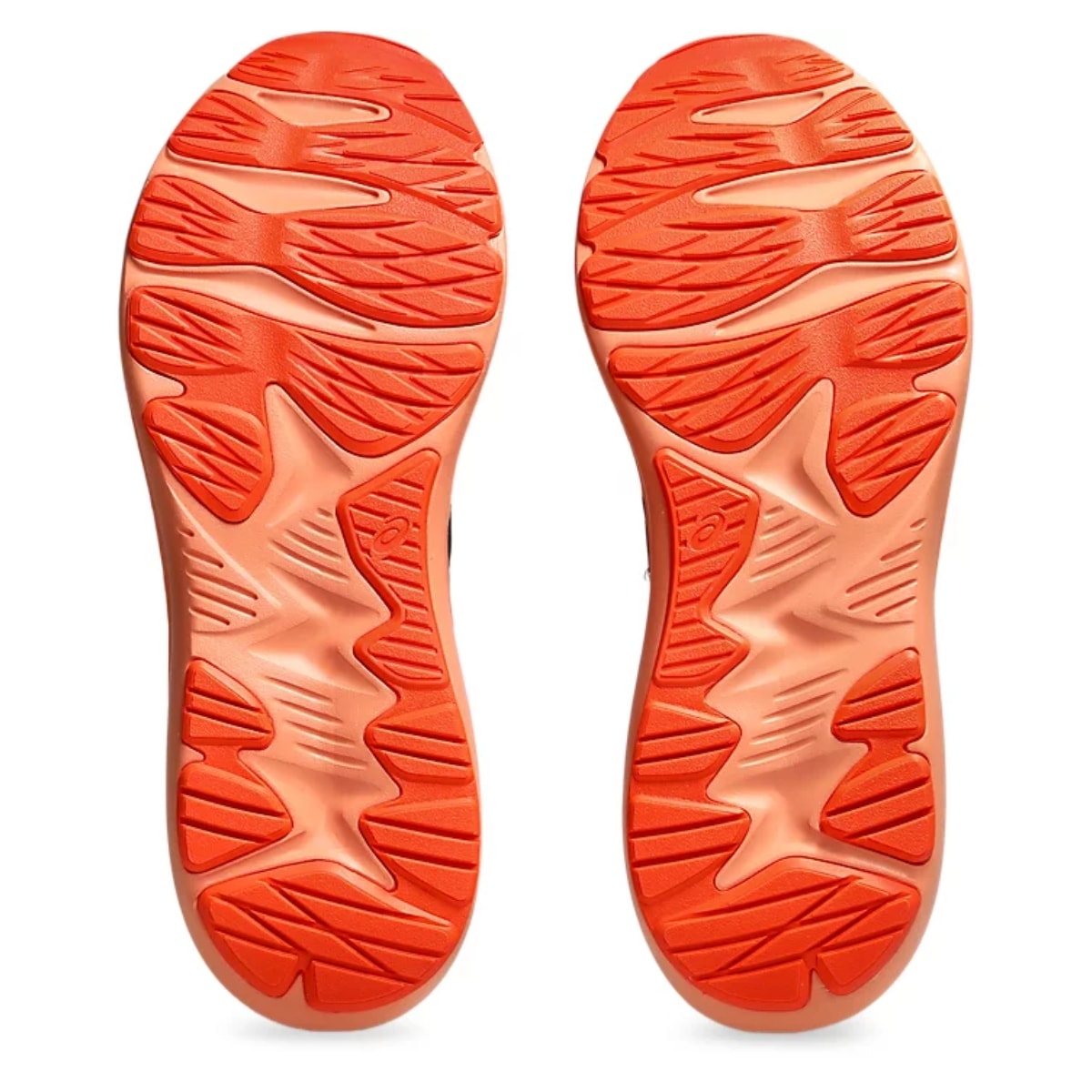 image_141f67f7-cc26-4996-8a80-c3781d3c0457