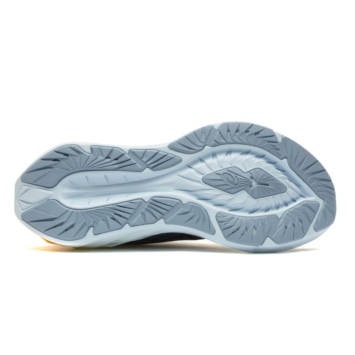 image_e27ec64c-6a1d-4f08-a916-7c2c7ffcf2d6