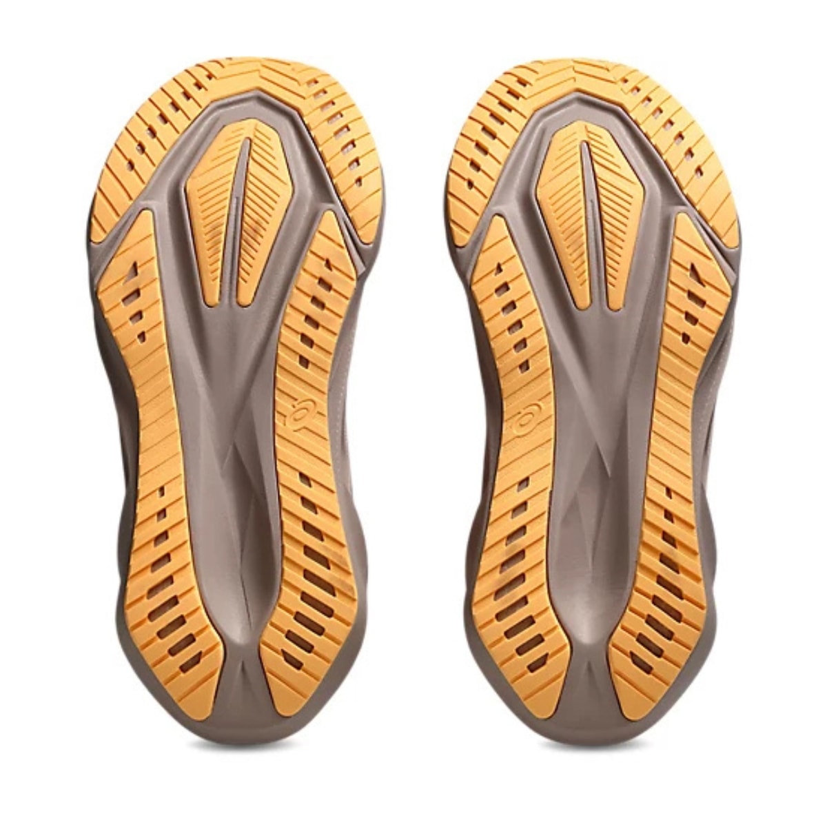 image_2e5734fe-328e-4ed4-b6ae-1ef6c08db693