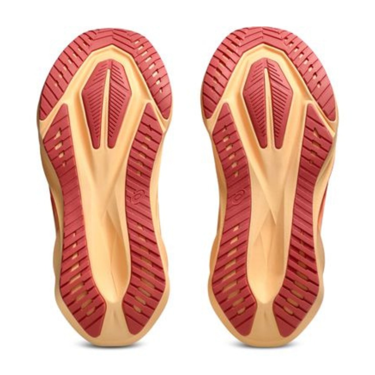 image_89c35c0f-025f-4279-9951-76c466b15a4f