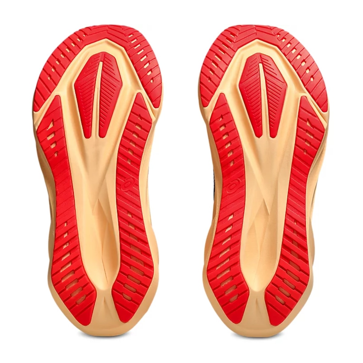 image_3df4807b-ae94-44d0-bc1f-3dd8e753a264