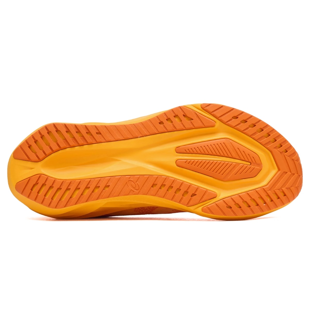 image_d8d17315-0df6-4b86-8ba1-258f04c37732