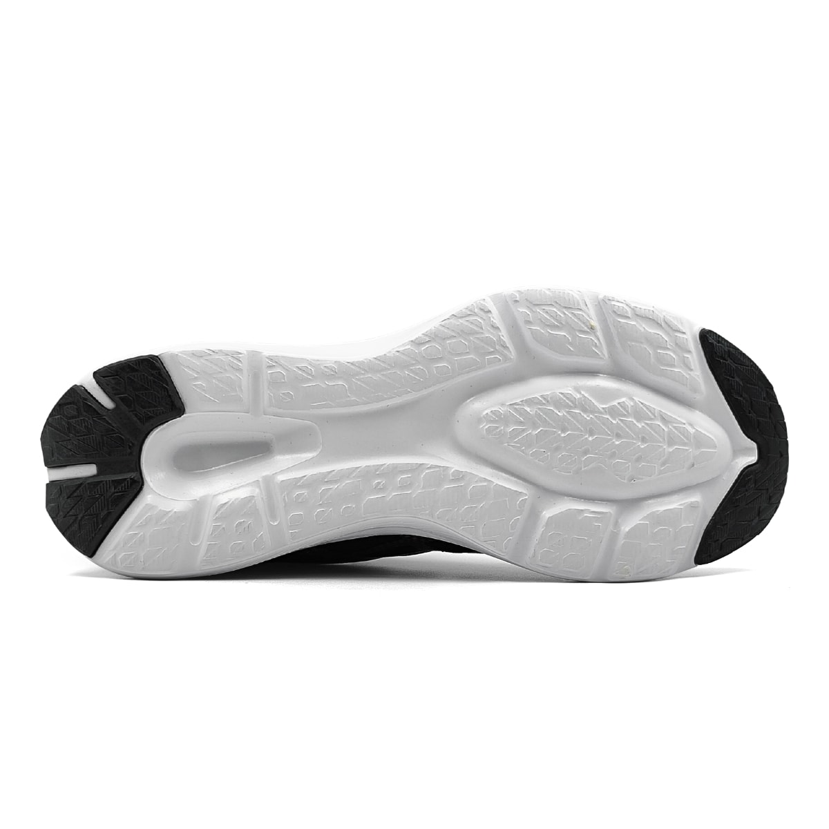 image_88e16a20-e888-4a11-baae-d29e04b2aed8