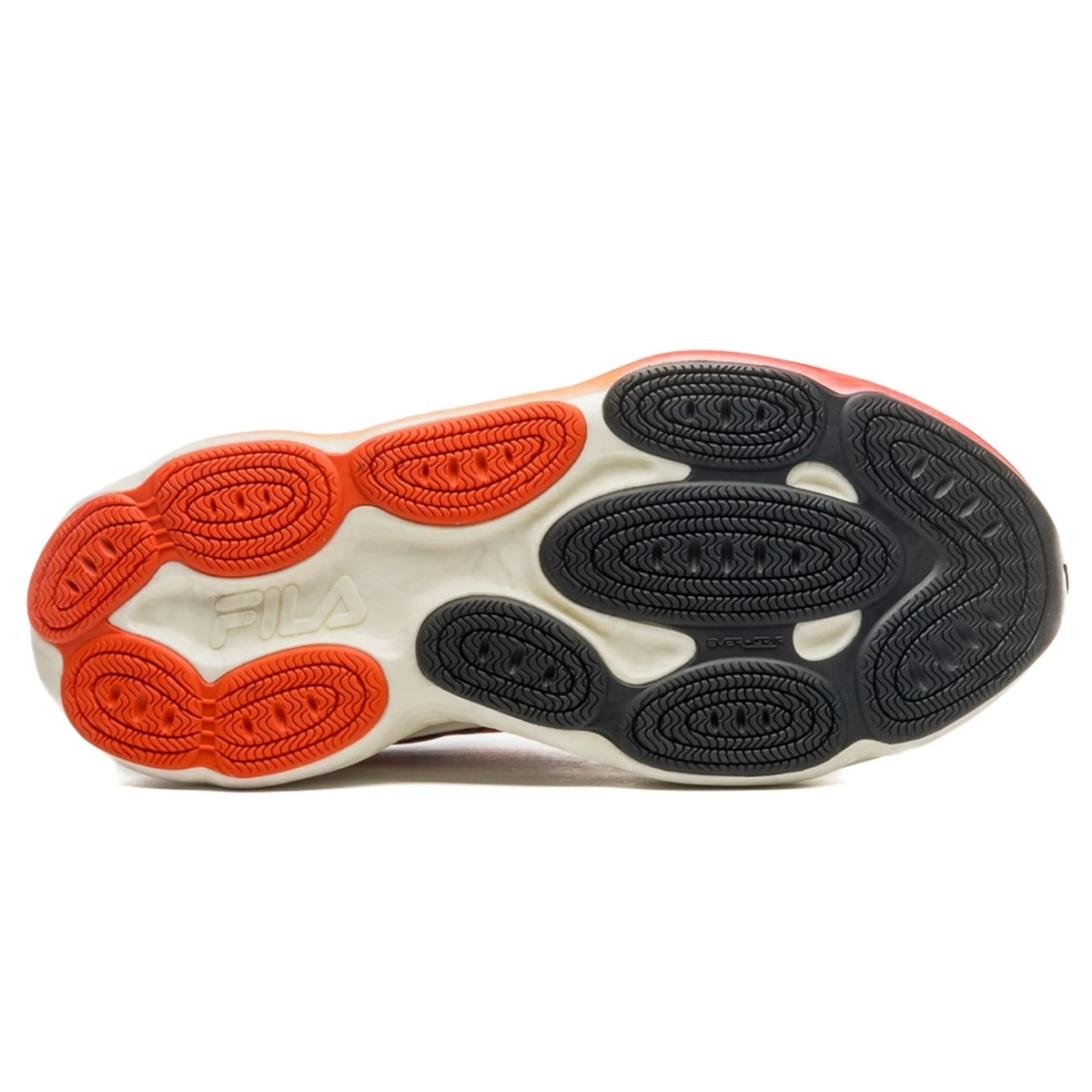 image_e9c0ac1d-1a07-4955-8785-efde1eb1510c