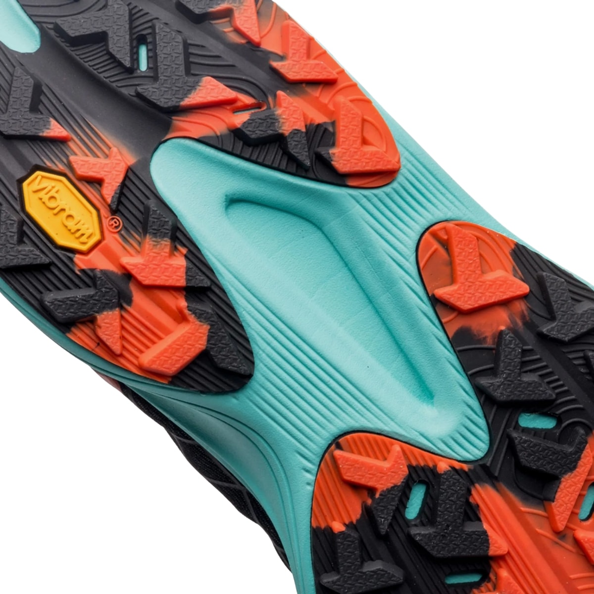 image_e9aa1113-3cd6-4a48-9232-baaefe11aca0