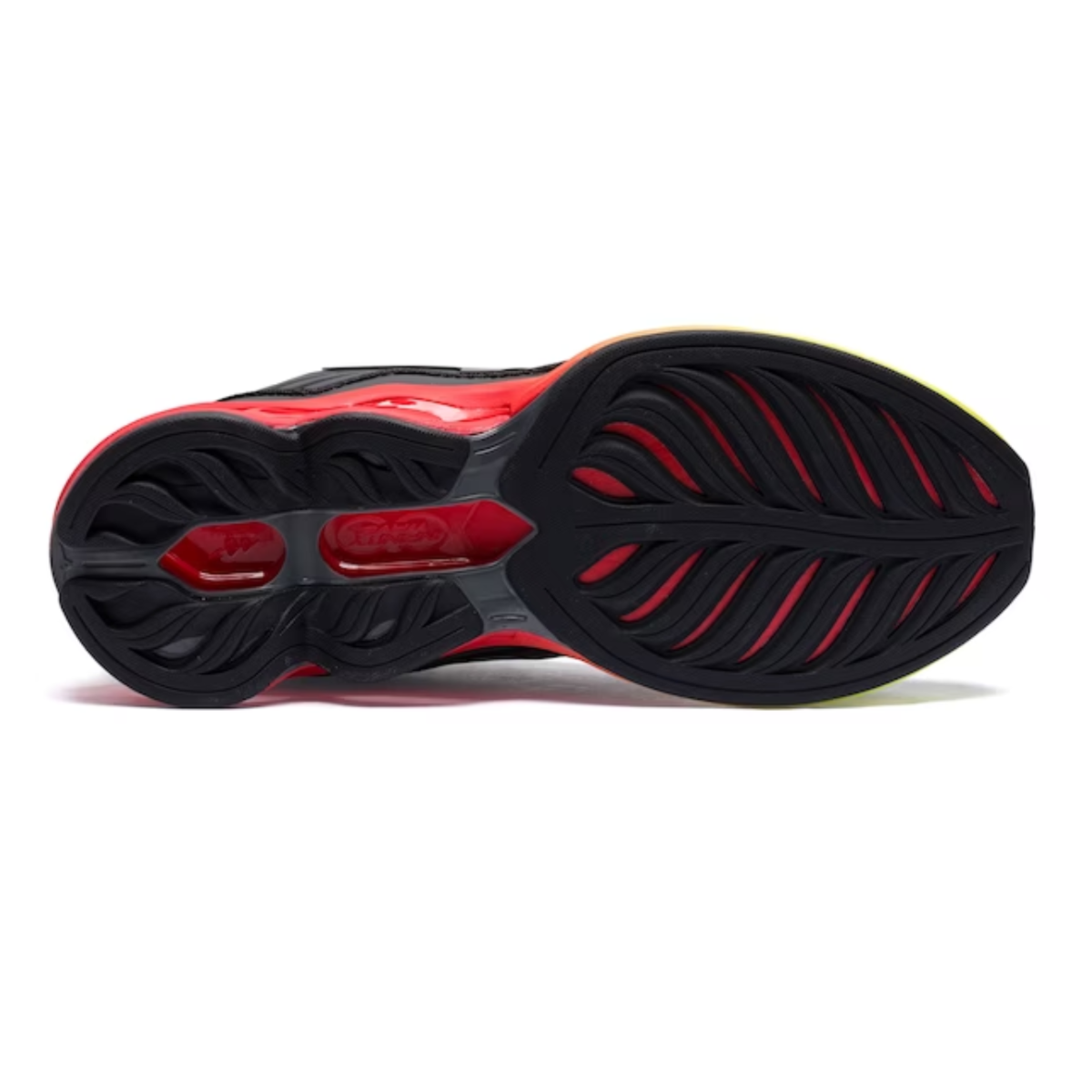 image_e50b661d-f998-4739-b03e-ed66544dc6e4