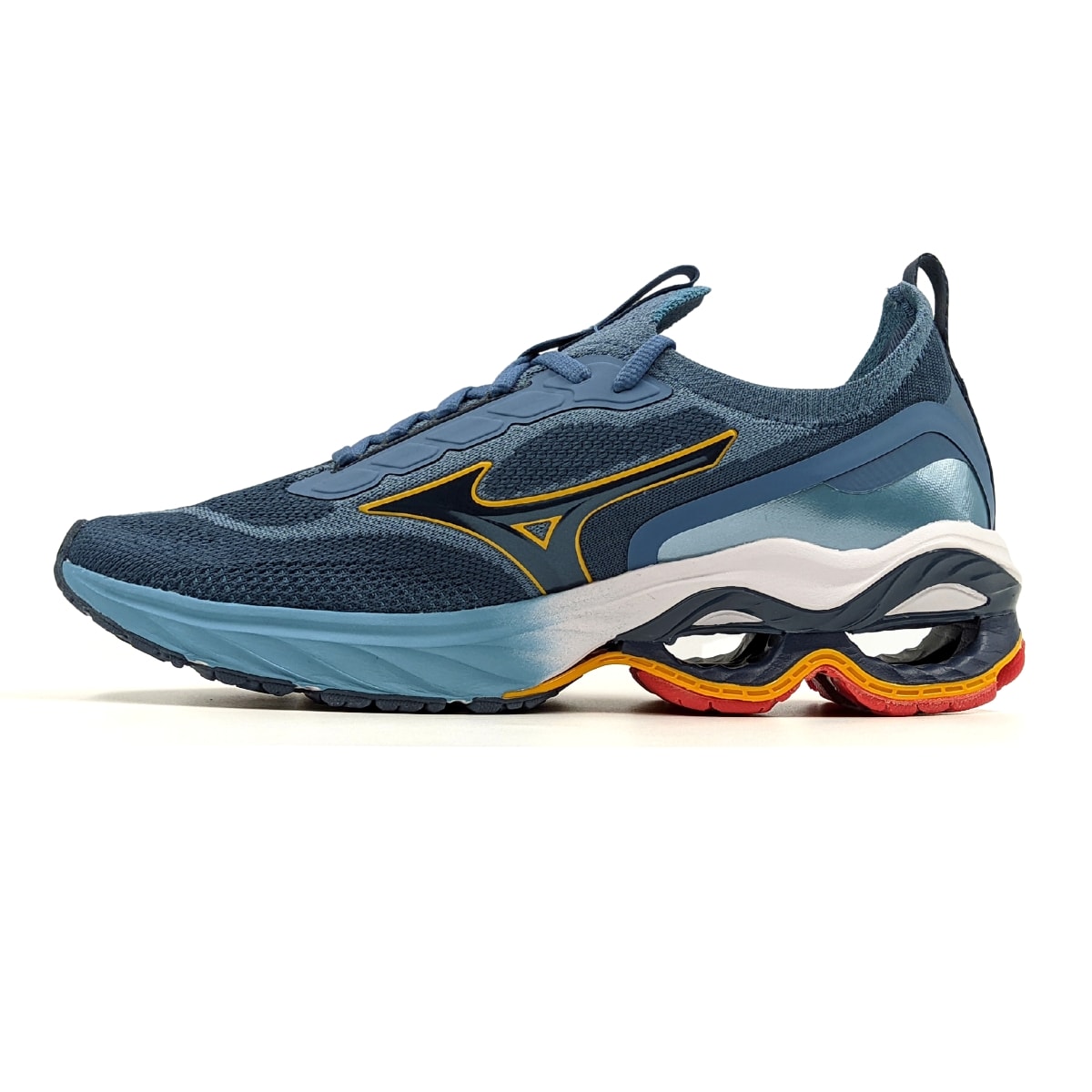 image_d1fc3e66-a669-4b82-8818-8684521df544