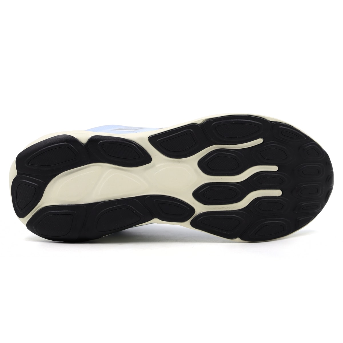 image_51920b4a-dec9-4981-824c-238ff841513a