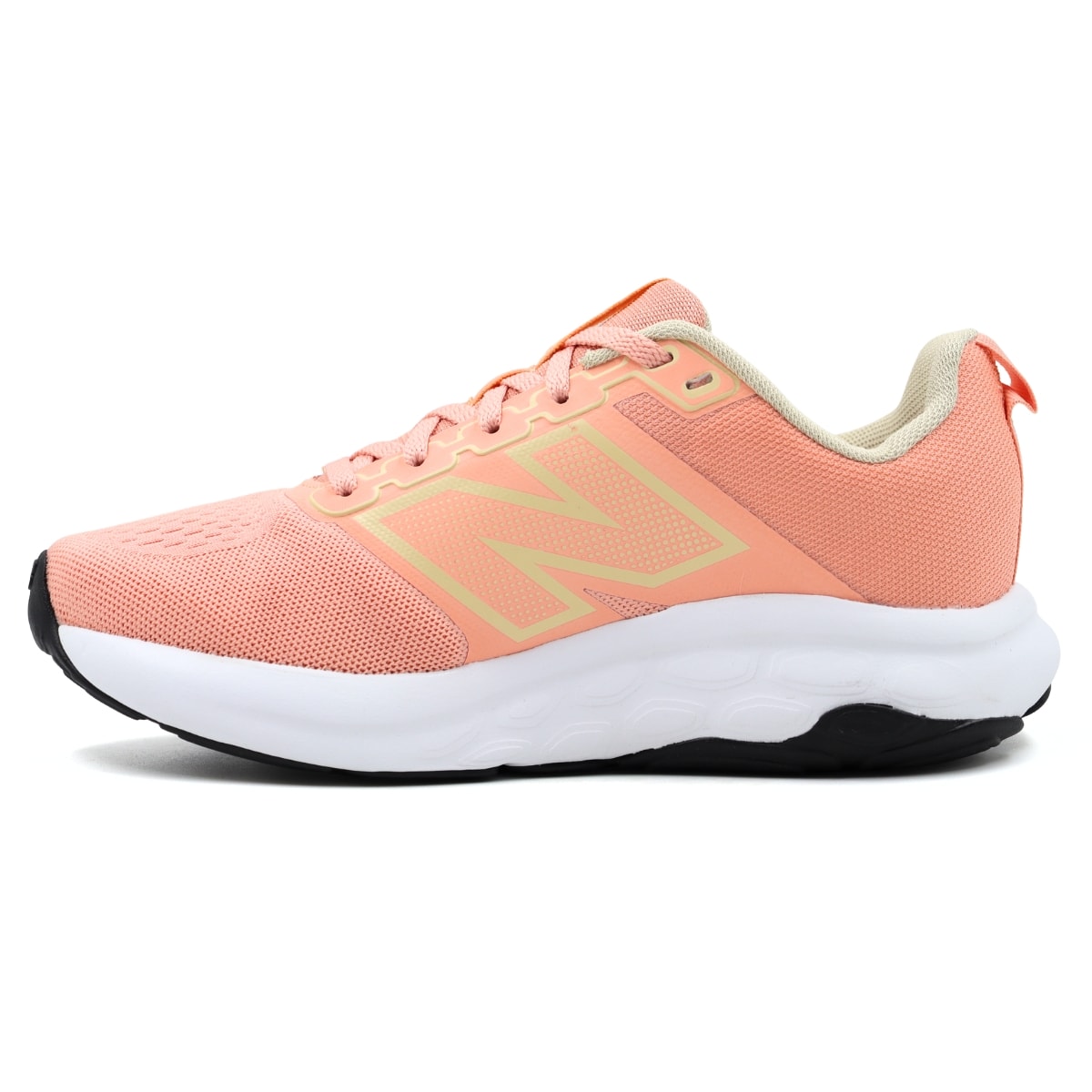 image_51b9169a-d4a9-4ff9-9165-9d39c507869c