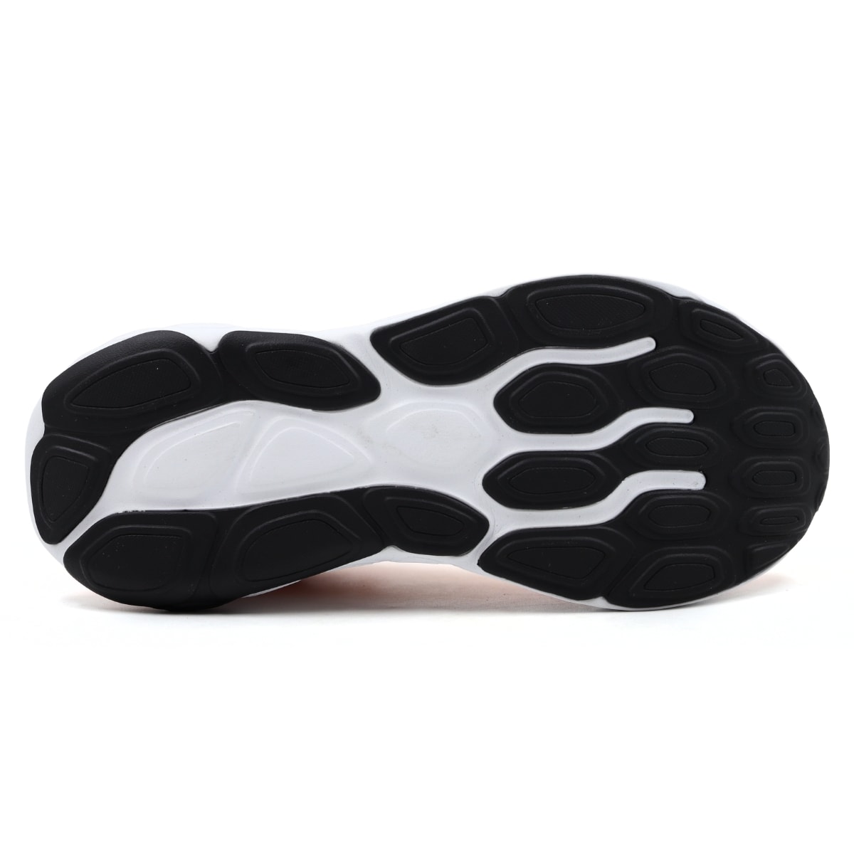 image_a5872ba6-7748-4e4b-a6b5-783255909df7