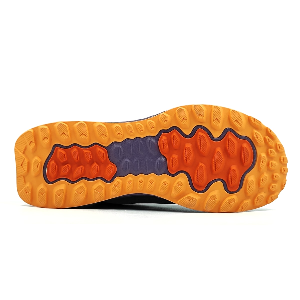 image_08e37d0c-b63c-4b17-91ae-df6b149dda77