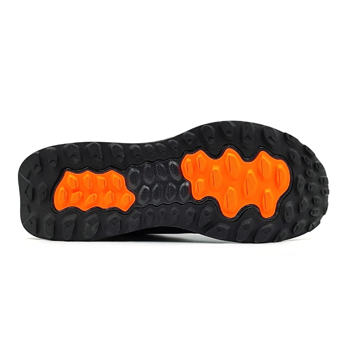 image_6e83d827-6e15-4bb4-abe4-206b9f16871a