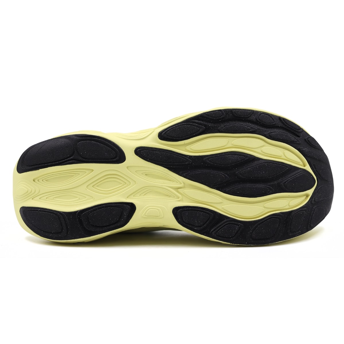 image_0dd70c24-396c-4b4a-b2f5-c9b33e872996