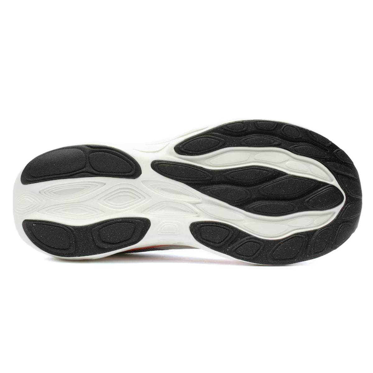 image_0944b75c-6c6b-4c00-bb18-072eb7e333fc