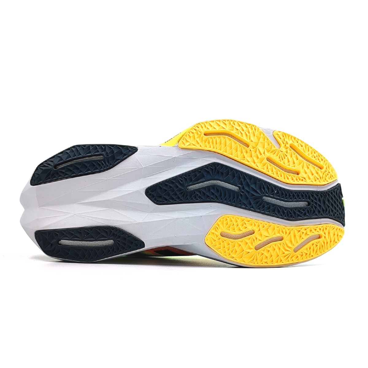 image_41af6e3e-b24b-4503-8881-be9569e5e322