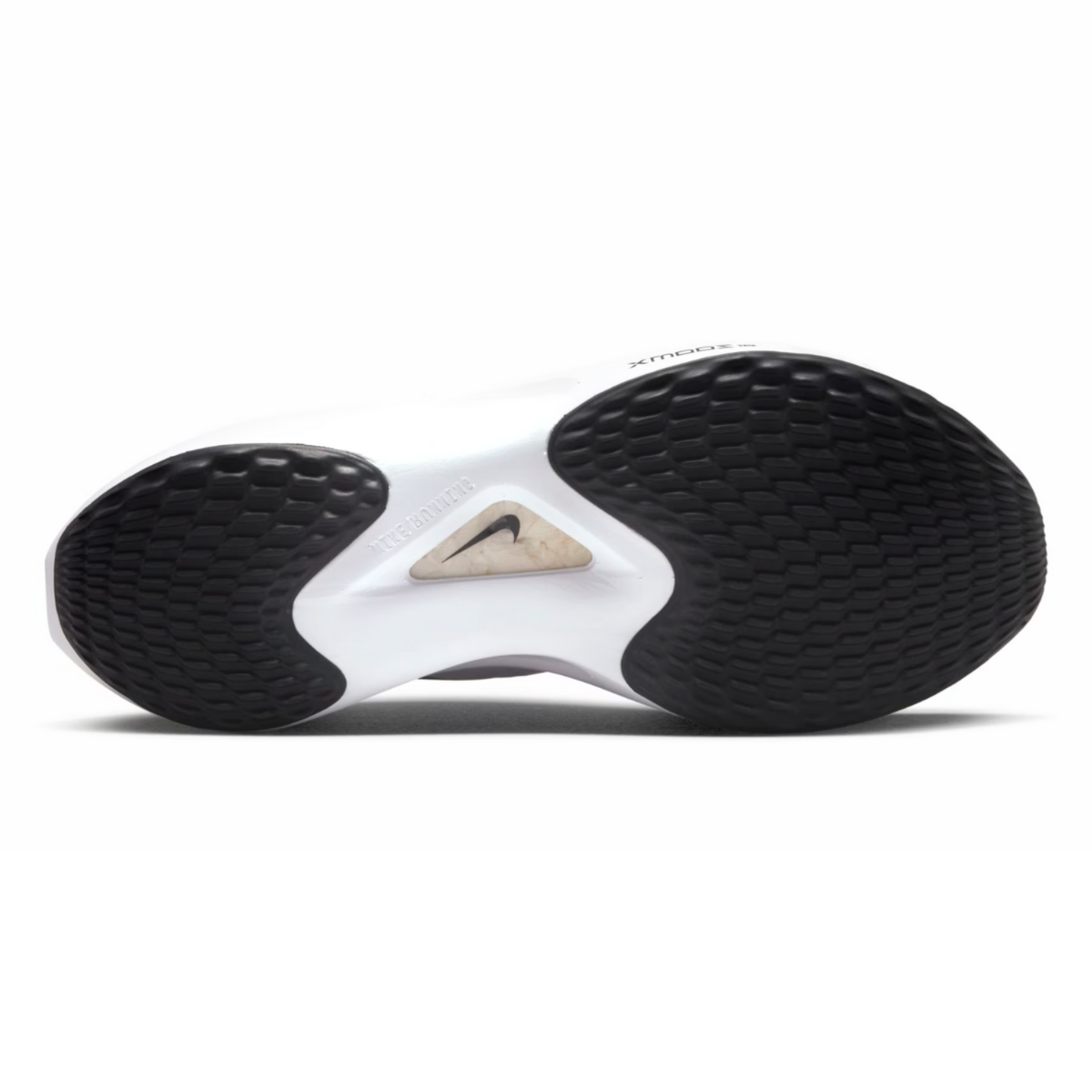 image_0b93d696-e782-4040-9371-89ce42dceae5