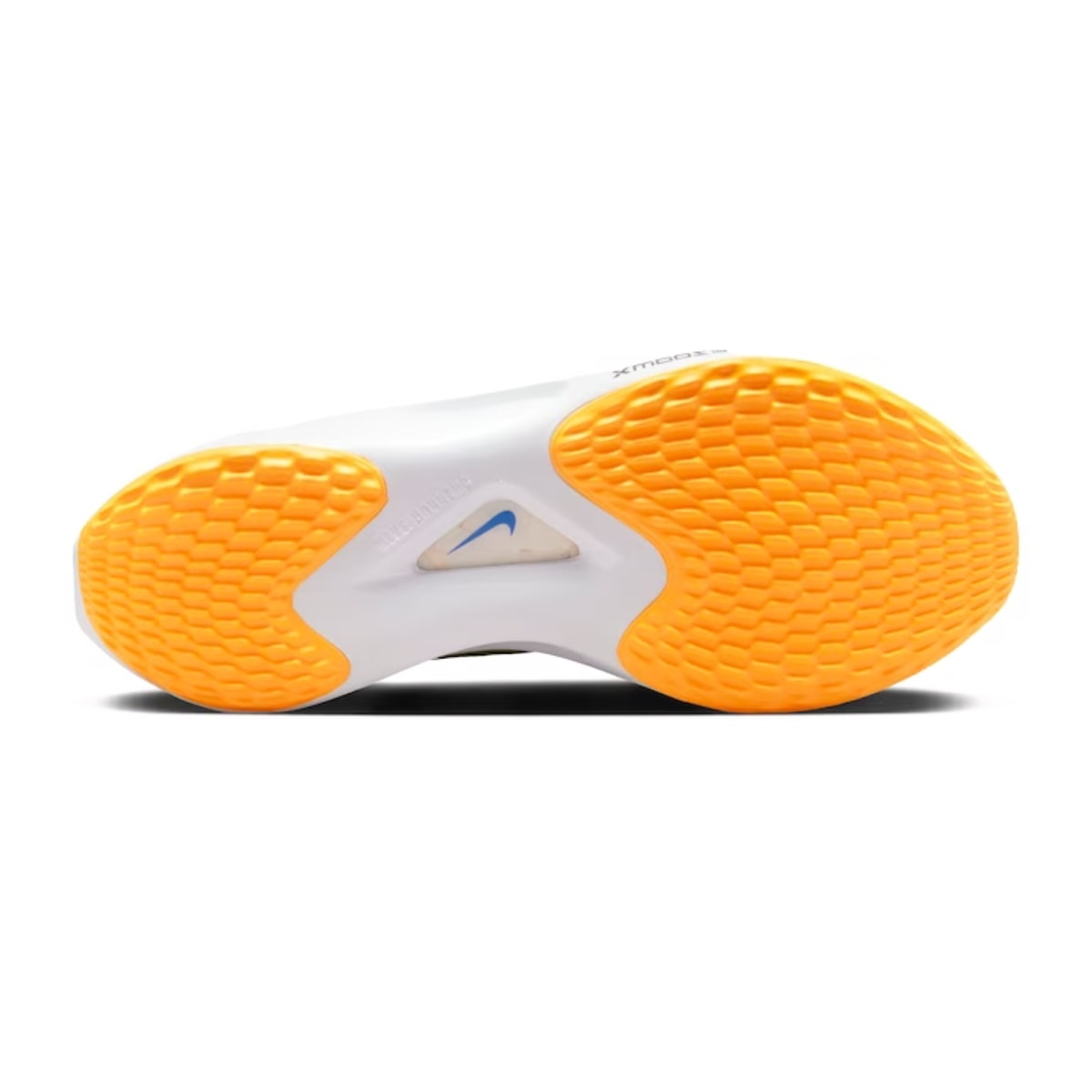 image_23b60aae-acc2-4bc1-b5dc-ca35e89b3508