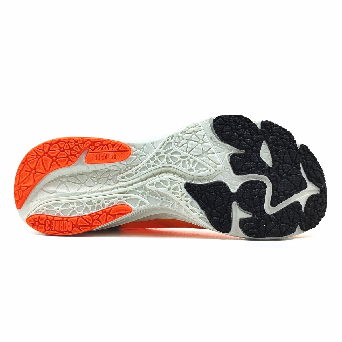 image_29f20a70-1b3d-42aa-bc72-26796d6d06a3