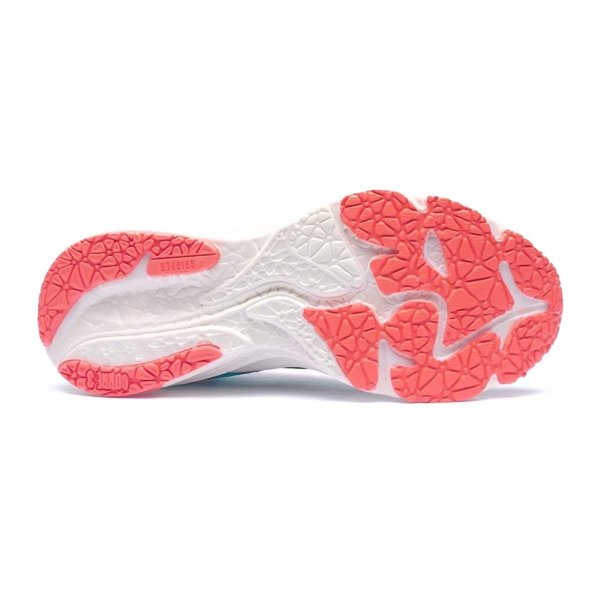 image_b60d0921-4dcd-47fa-8c79-f8ee2adb93cc