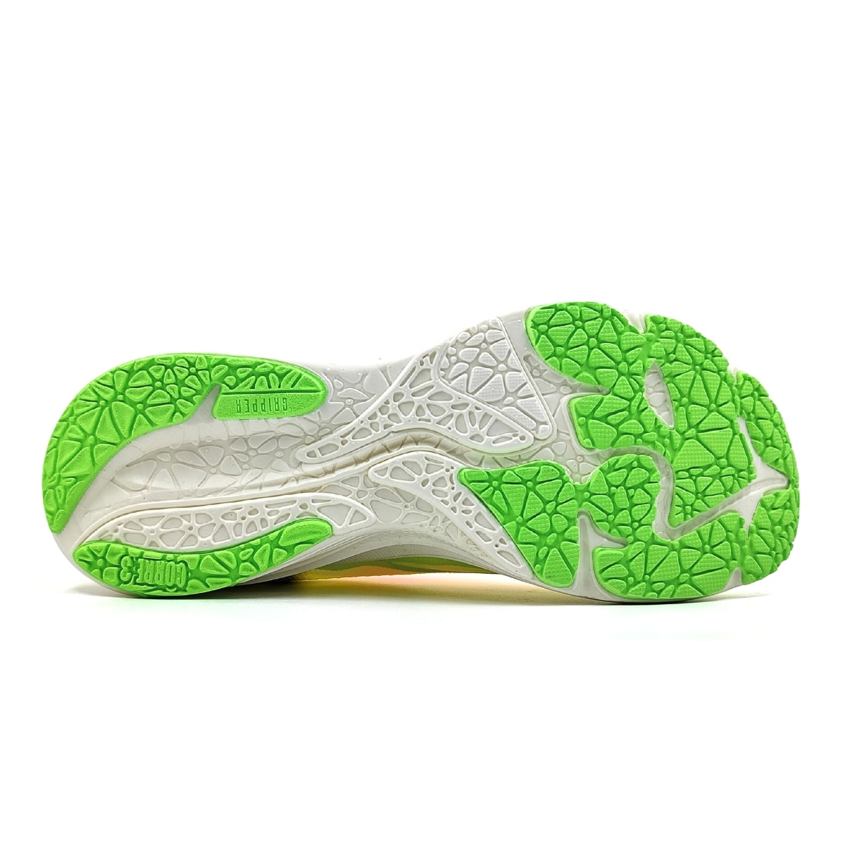 image_12afd3e0-0e25-4d27-b0fa-56158642ea70