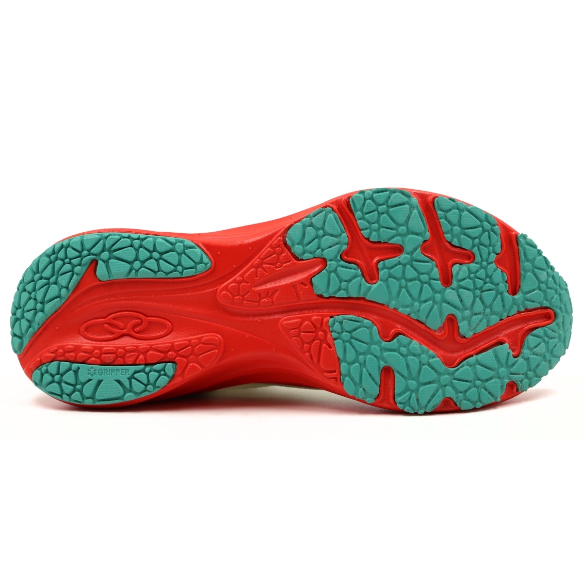 image_646da220-4578-41b0-beeb-247d4a2d2df4