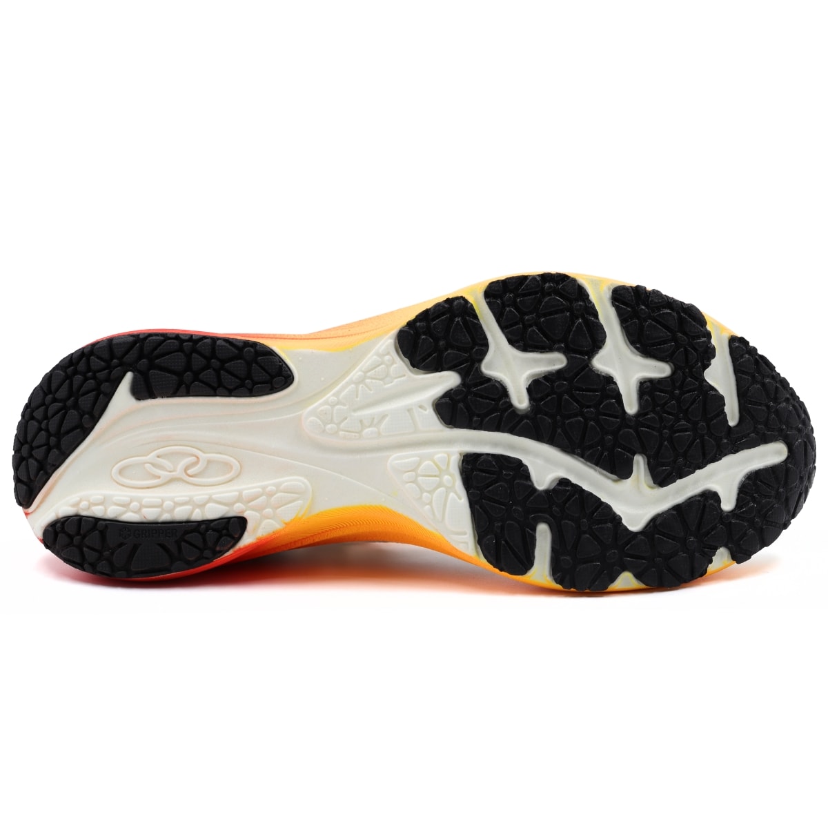 image_e31d1d90-741c-4e15-8429-22f3d6975312