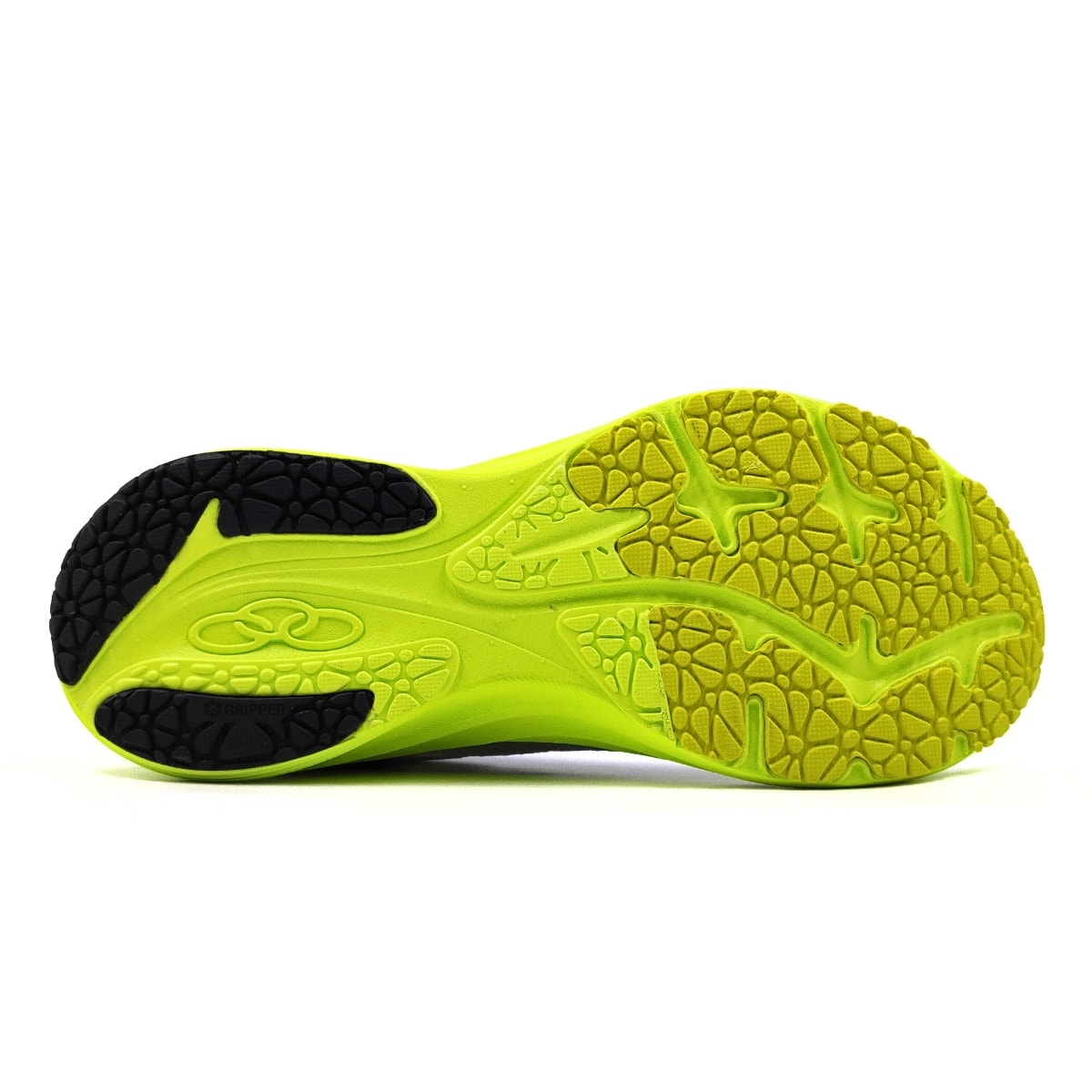 image_197a3792-9666-4dd6-bbed-e40b8c4e204a