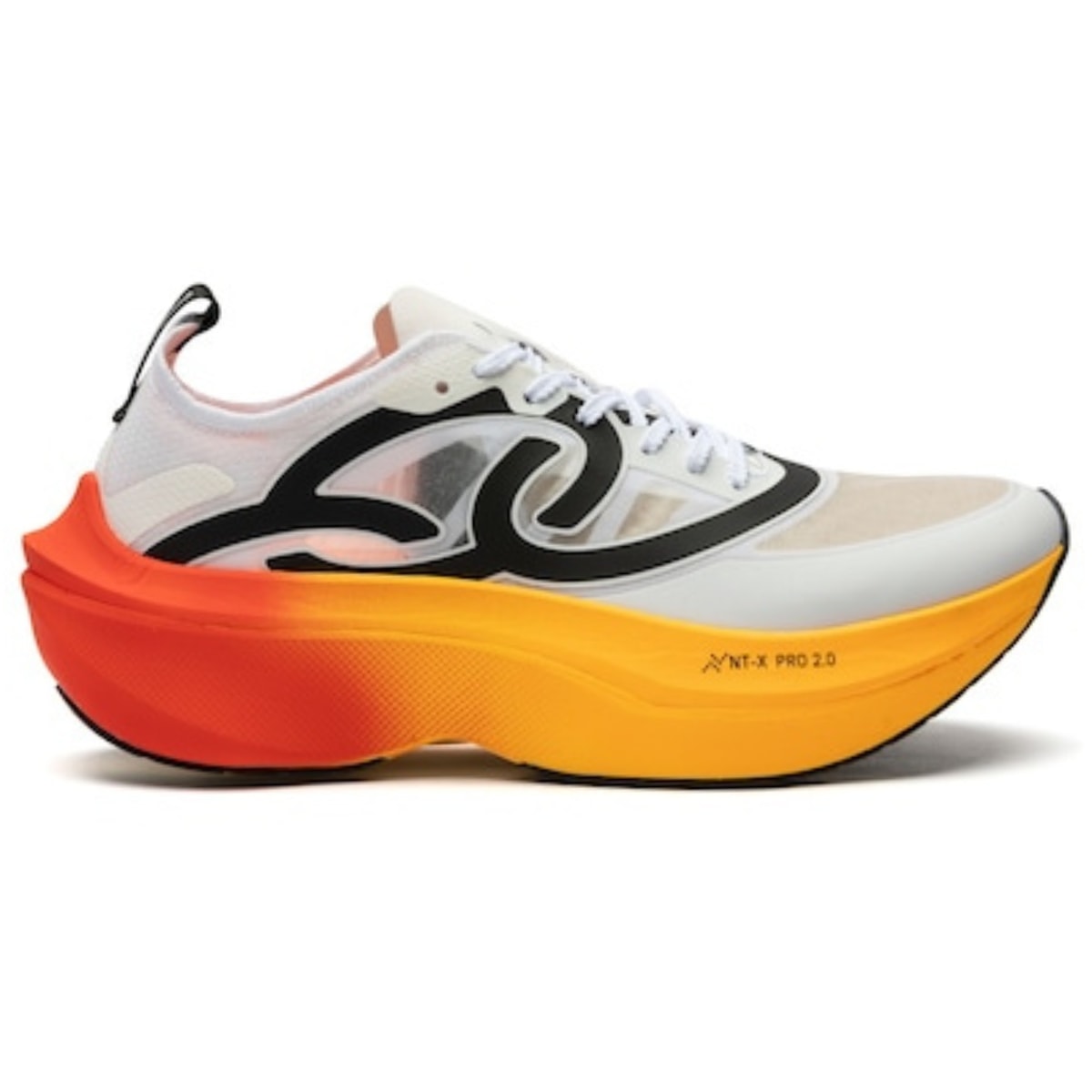 image_181b20a5-9e7f-49f3-b49f-353c4e7fe31a