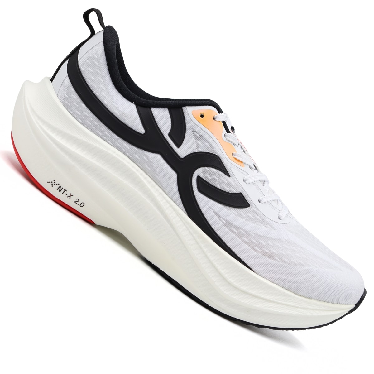 image_d869b3ac-2325-4af9-9757-a7440ebe63c8