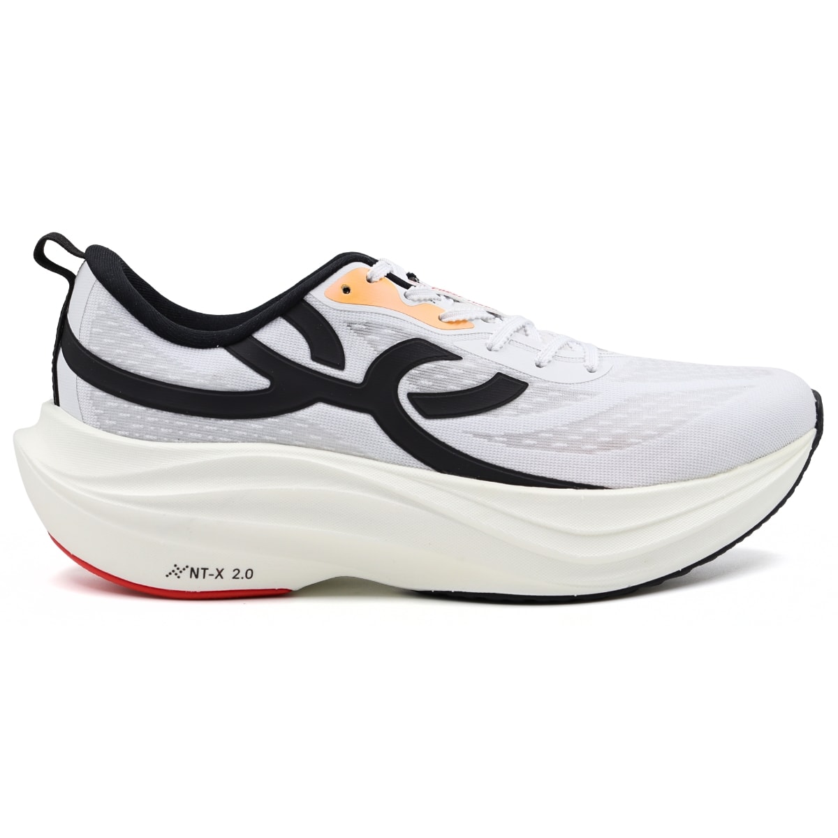 image_88a1eb38-c0ea-4972-aea1-8a7dcee09a3e