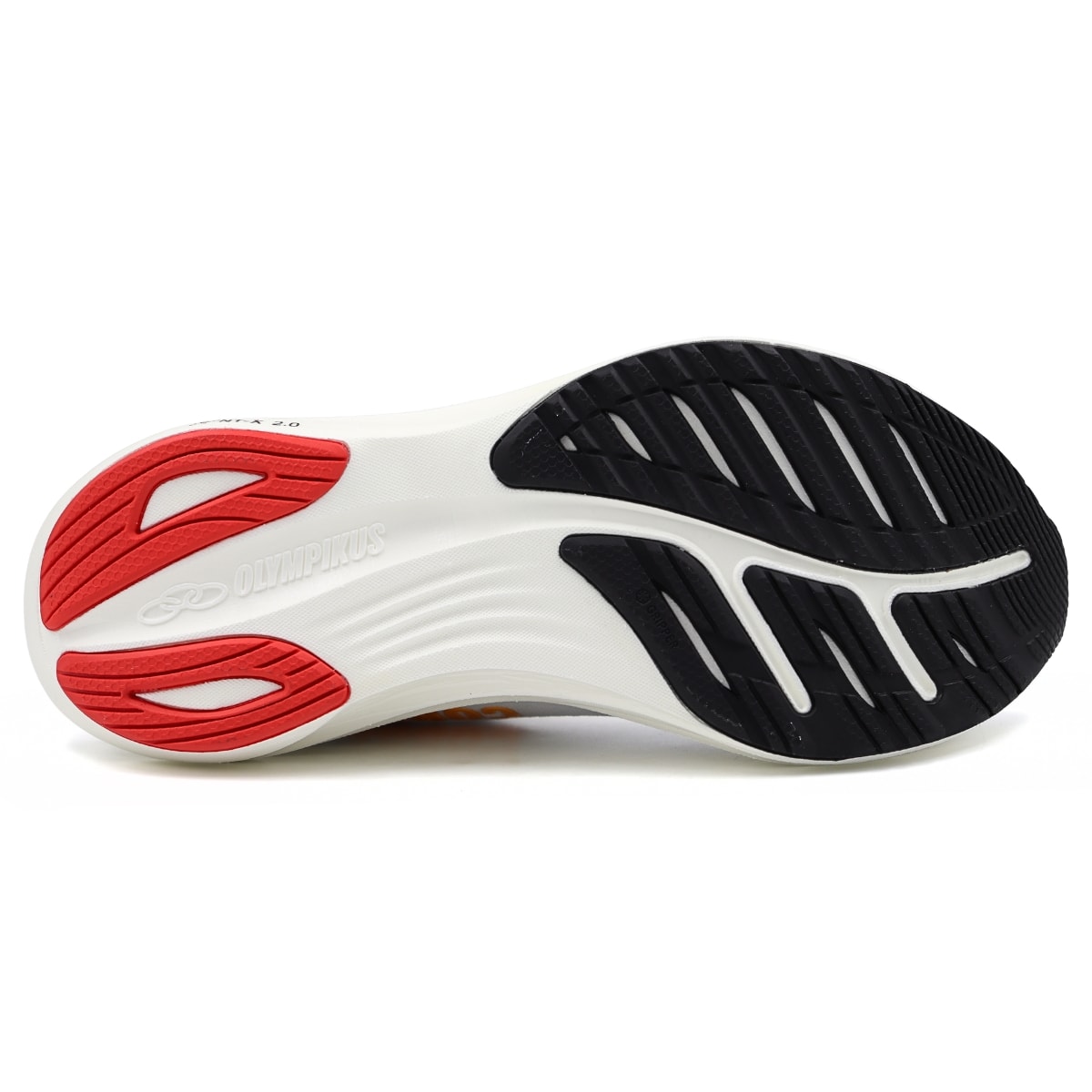 image_d08343a8-0fcd-4dc4-b6d5-0840a2e9dedb