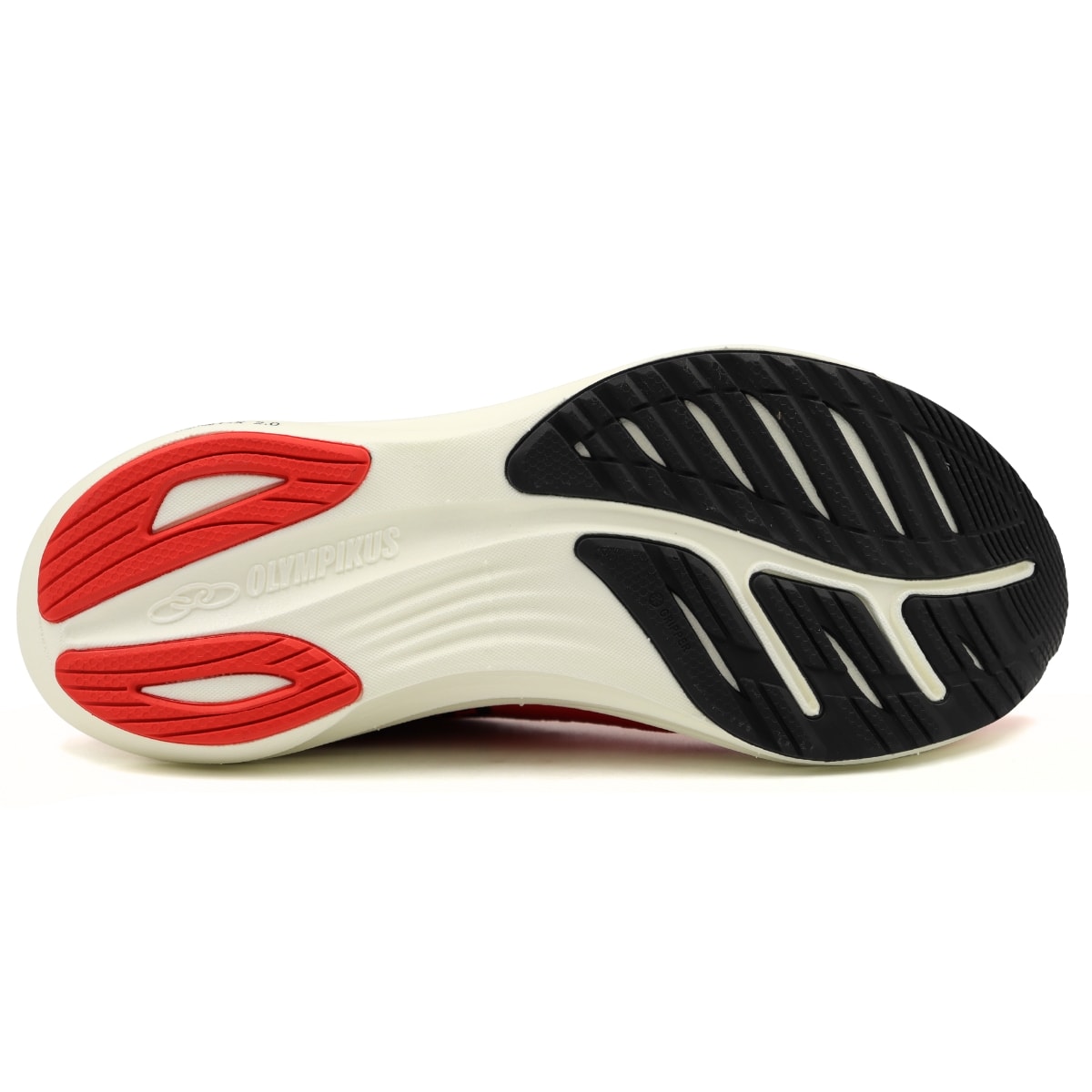 image_b9787f66-7ef8-4010-89fe-bdb4efca5d35