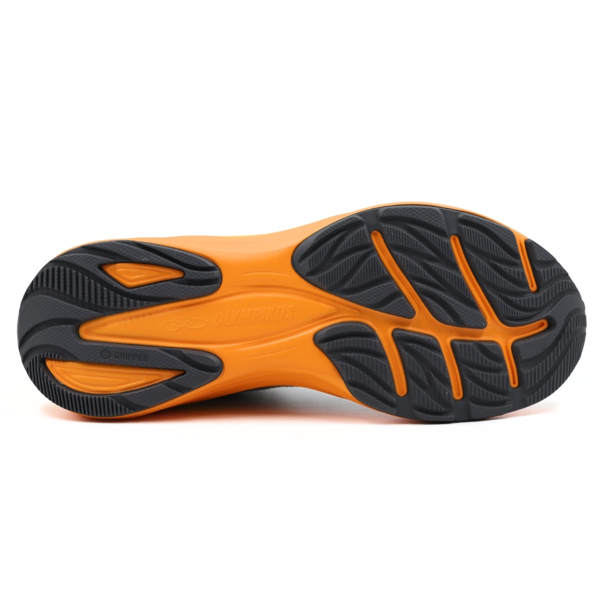 image_d135801a-49fe-40bb-a5bc-246aa817e072