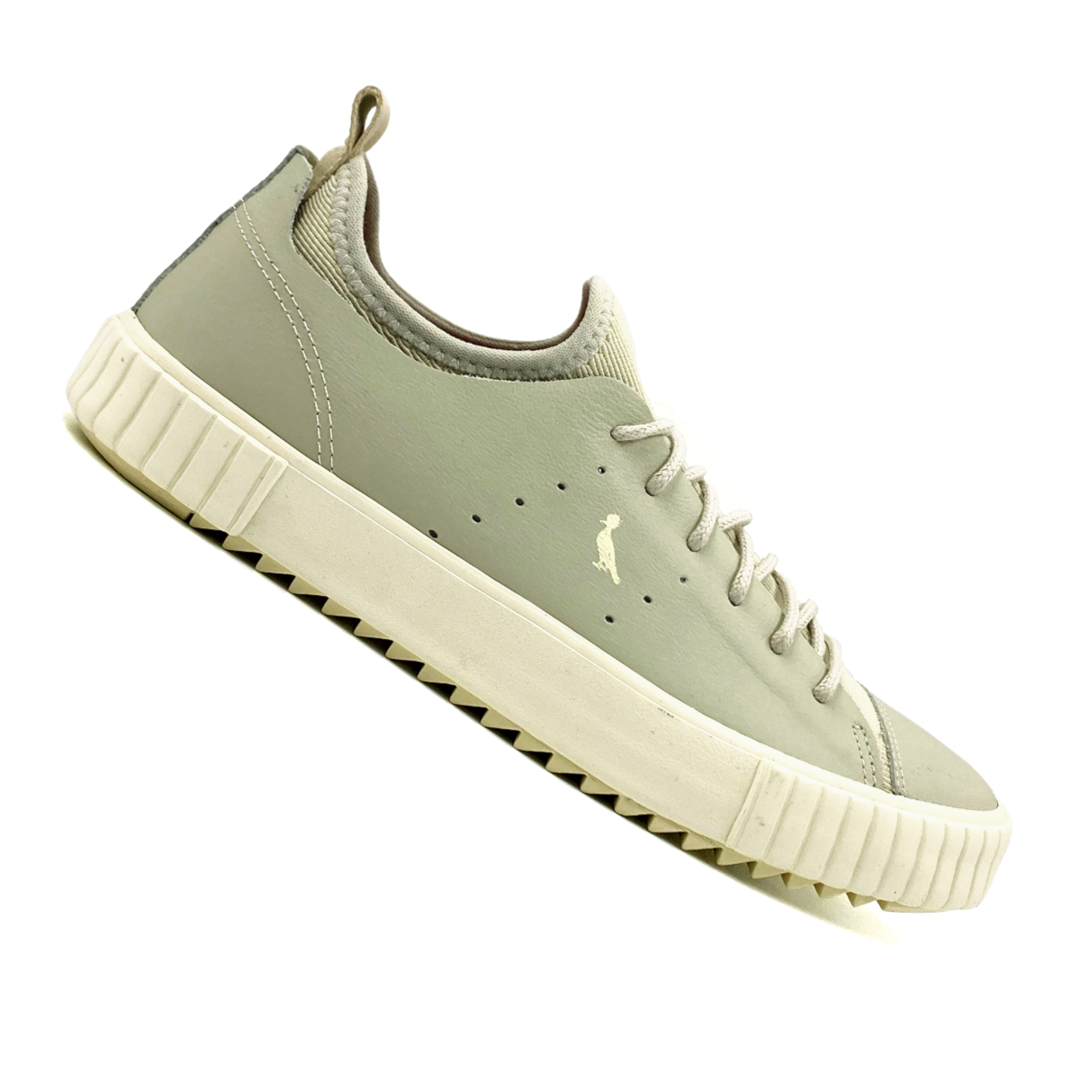 image_00a23ee3-7620-4d82-a17c-f8e60c50e091