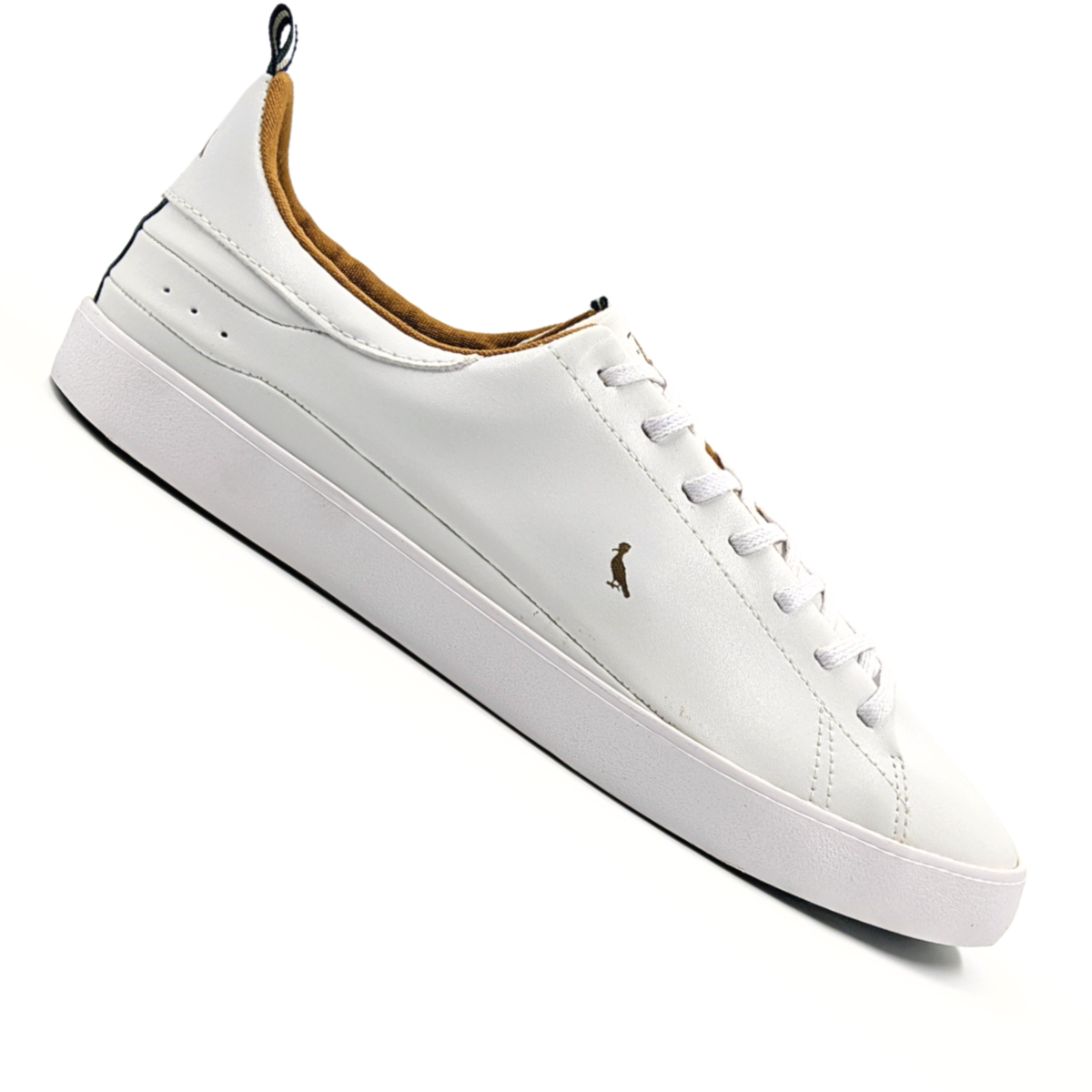 image_51ea7231-f86b-4cae-b438-2d561664f595